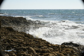 Enlarge photo 121