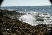 Enlarge photo 126