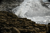 Enlarge photo 128