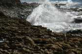 Enlarge photo 129