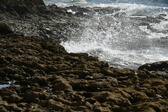 Enlarge photo 131