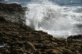 Enlarge photo 133