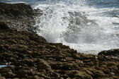 Enlarge photo 134