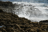 Enlarge photo 135