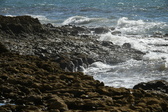 Enlarge photo 141