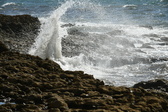 Enlarge photo 143