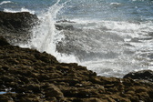 Enlarge photo 145