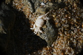 Enlarge photo 154