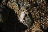 Enlarge photo 156