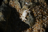 Enlarge photo 157