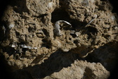 Enlarge photo 158