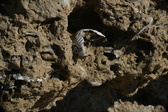 Enlarge photo 159