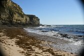 Enlarge photo 165