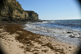 Enlarge photo 166