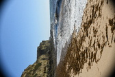 Enlarge photo 168