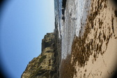 Enlarge photo 170