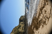 Enlarge photo 172