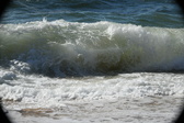 Enlarge photo 181