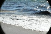 Enlarge photo 183