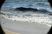 Enlarge photo 184