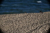 Enlarge photo 186