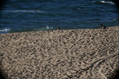 Enlarge photo 187