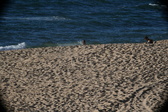 Enlarge photo 188