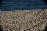 Enlarge photo 189