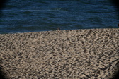 Enlarge photo 190