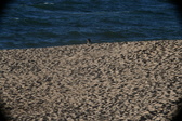 Enlarge photo 193