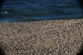 Enlarge photo 194