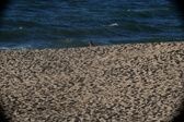 Enlarge photo 195