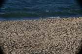 Enlarge photo 196