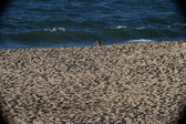 Enlarge photo 197