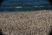 Enlarge photo 198