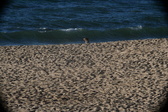 Enlarge photo 199