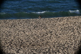 Enlarge photo 201