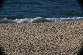 Enlarge photo 202