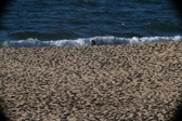 Enlarge photo 203