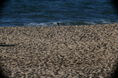 Enlarge photo 209