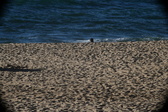Enlarge photo 210
