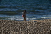 Enlarge photo 219