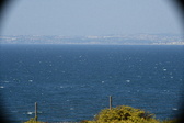 Enlarge photo 233
