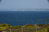 Enlarge photo 237