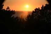 Enlarge photo 247