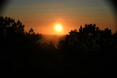 Enlarge photo 248
