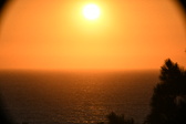 Enlarge photo 249