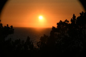 Enlarge photo 250