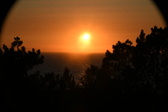 Enlarge photo 251