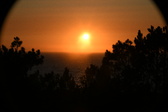 Enlarge photo 252